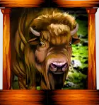 Symbol bull
