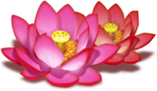 Symbol Lotus