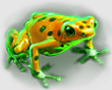 Symbol frog