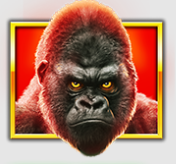 Symbol gorilla