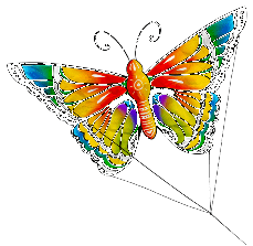 Symbol Butterfly