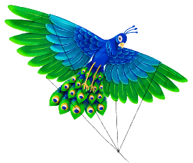 Symbol Peacock