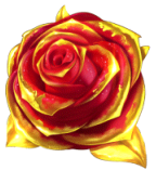 Gold Rose bonus