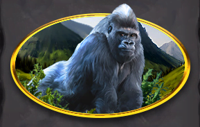 Symbol Big Gorilla