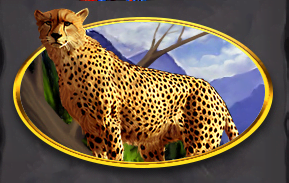 Symbol Cheetah