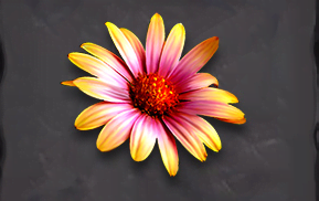 Symbol Flower