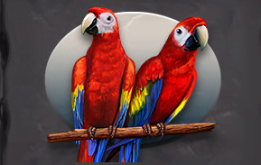 Symbol Parrot