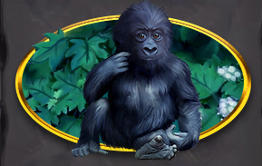 Symbol Small Gorilla