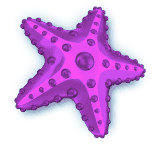 Symbol Starfish