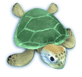 Symbol Turtle