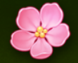 Symbol Pink Flower