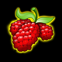 Symbol Berry