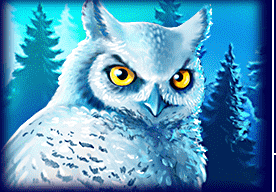 Symbol owl