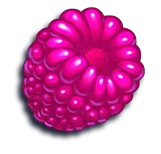 Symbol Raspberry