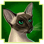 Symbol Gray Cat