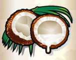 Symbol Coconut