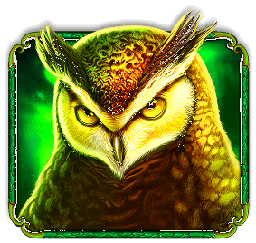 Symbol Owl