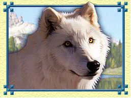 Symbol White Wolf