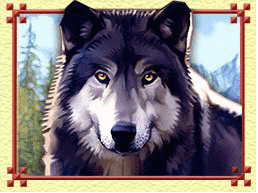 Symbol Wolf