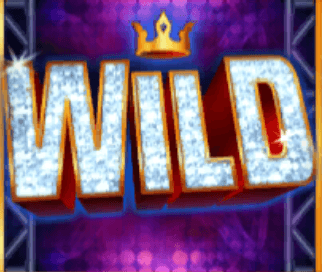 Stacked Wild Bonus Symbol bonus
