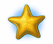 Yellow Starfish
 bonus