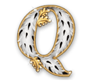 Symbol q symbol