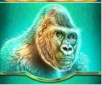 Symbol gorilla