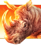 Symbol rhino