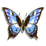 Symbol Butterfly