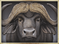 Symbol Bull