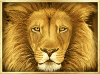 Symbol Lion