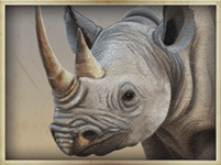 Symbol Rhino