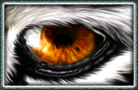 Symbol Eye