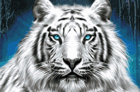 Symbol White Tiger