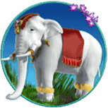 Symbol elephant