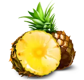 Symbol Pineapple