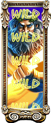 wild reel bonus