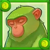 Symbol Monkey Symbol