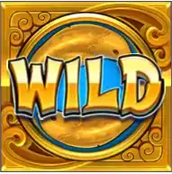 Wild Symbol bonus