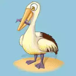 Symbol Pelican