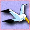 Symbol Bird Symbol