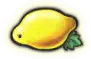 Symbol Lemon Symbol