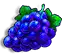 Symbol Grapes Symbol