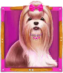 Symbol Pink Dog