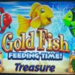 Gold Fish Feeding Time Treasure